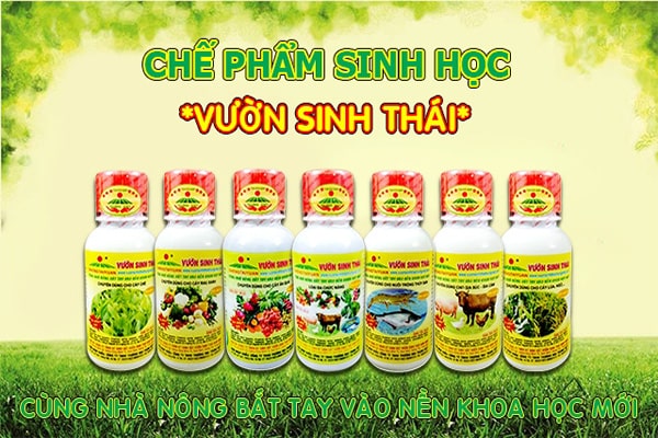Thuốc bảo vệ thực vật Vinh Nghệ An